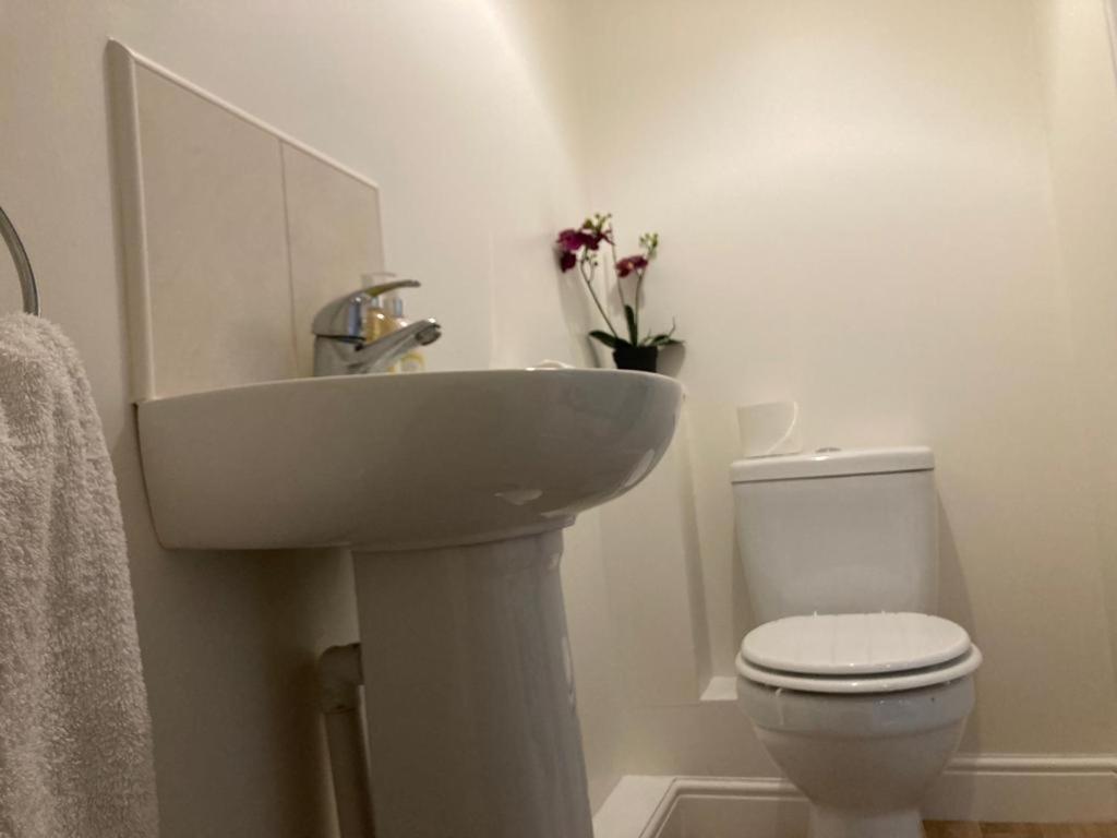 Cosy Near Hospital